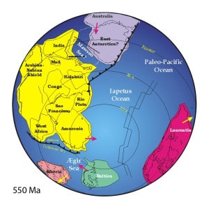 Los continentes de la Tierra hace 550 millones de años. Crédito: Jmeert/Wikipedia