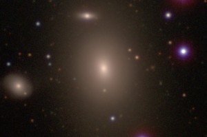 La galaxia NGC 1600 y sus compañeras. Crédito: Carnegie-Irvine Galaxy Survey