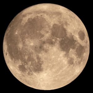 Imagen de la superluna del 14 de noviembre de 2016. Crédito: Wikimedia Commons/Tom Ruen