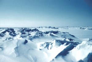 Crestas heladas en el mar de Beaufort, en la costa norte de Alaska. Crédito: Wikimedia Commons/Lusilier