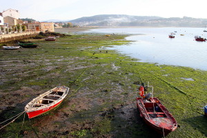 Una marea baja en Combarro (Pontevedra). Crédito: Mario Modesto