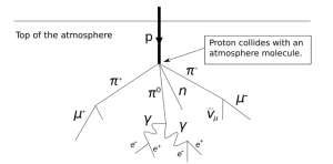 En lo alto de la atmósfera, un protón choca con una atmósfera de la molécula. En el gráfico puedes ver cómo se desintegra en las diferentes partículas subatómicas. Crédito: Usuario "SyntaxError55" de Wikipedia.