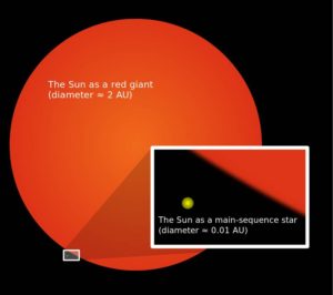 Comparación del tamaño actual del Sol y su posible tamaño como gigante roja.  Crédito: Wikimedia Commons/Oona Räisänen
