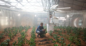 Imagen de la película Marte (The Martian) en la que Mark Watney intenta cultivar vegetales en el planeta rojo. Crédito: Twentieth Century Fox Film Corporation