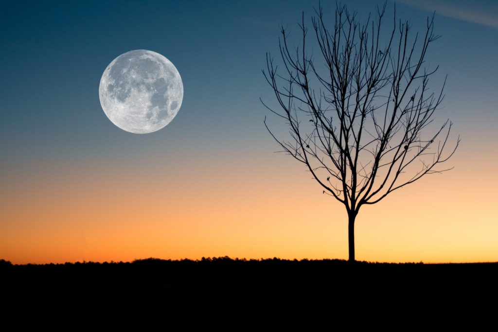 En el calendario astronómico de marzo de 2022, la luna llena es una de las grandes citas. Tendrá lugar el 18 de marzo.