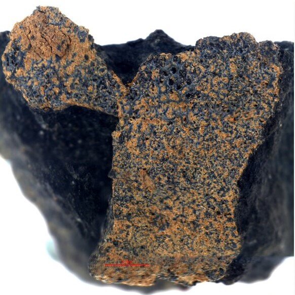 Un meteorito para entender el origen de la vida
