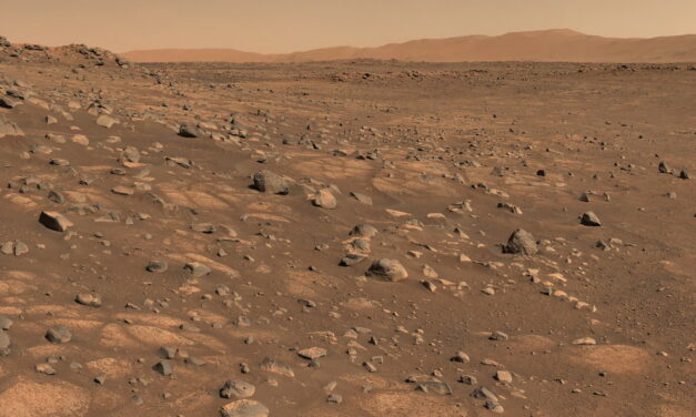Habrá que excavar en Marte para encontrar vida