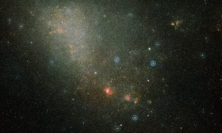 El aspecto del universo en el mediodía cósmico