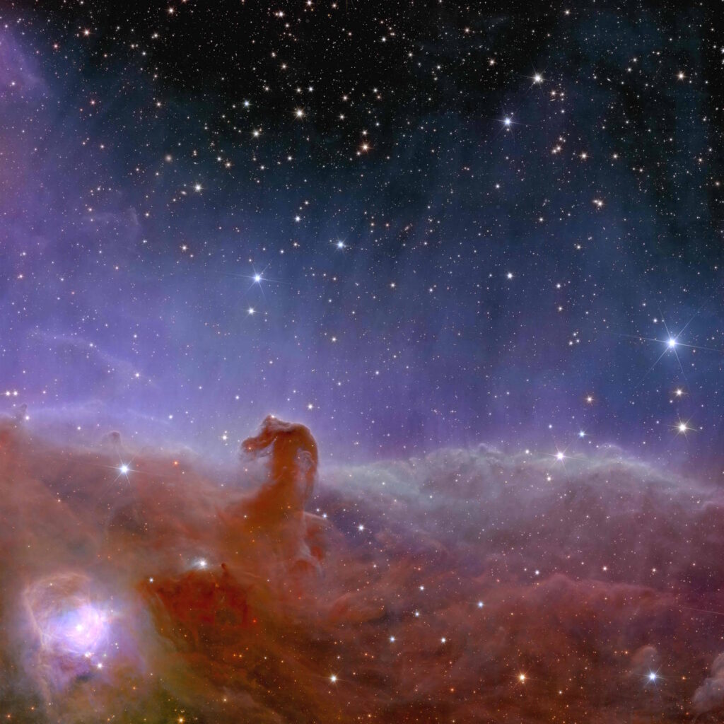 Las increíbles primeras imágenes de Euclid. Esta es la Nebulosa Cabeza de Caballo.