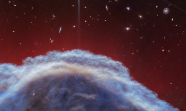 La Nebulosa Cabeza de Caballo vista por Webb