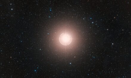 Una evidencia muy robusta de la compañera de Betelgeuse