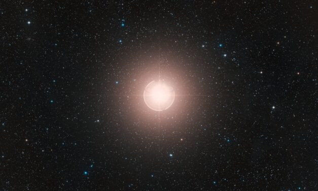 Una evidencia muy robusta de la compañera de Betelgeuse