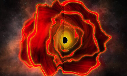 Descubren una estrella de agujero negro… ¿qué es eso?
